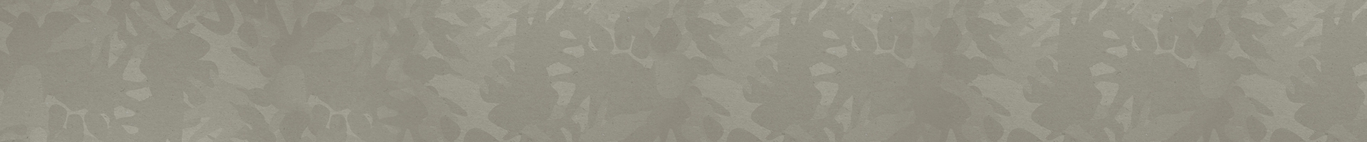 Section Background