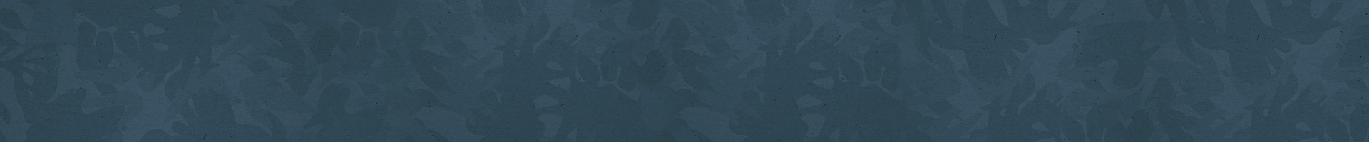 Section Background